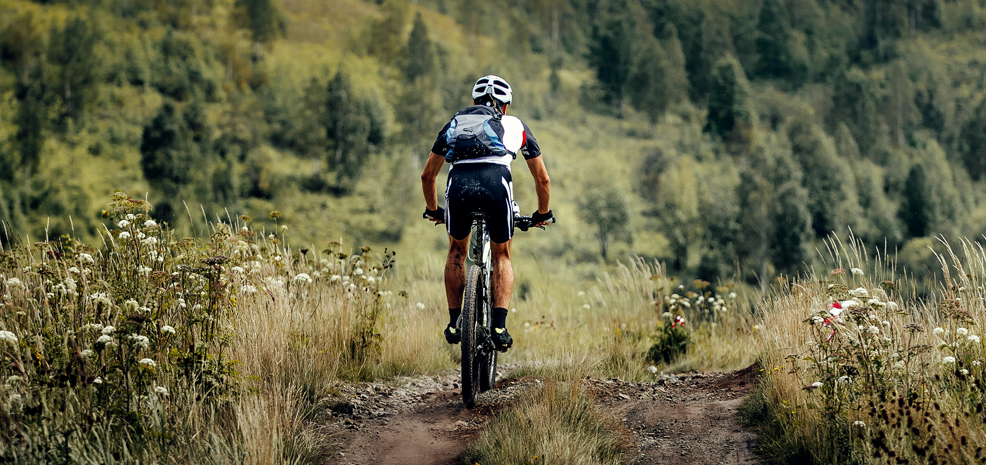Mountainbiker fährt auf Weg in grüner Landschaft